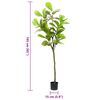 Miniatuurafbeelding van het product 5 van 5