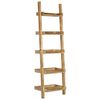 vidaXL Ladderkast 75x37x205 cm massief mangohout bruin