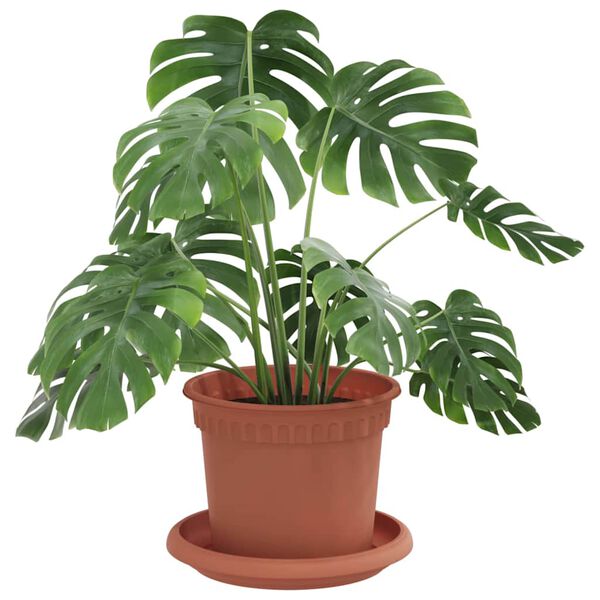 Productafbeelding 3 van 12