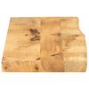 vidaXL Tafelblad met natuurlijke rand 100x20x2,5 cm massief mangohout