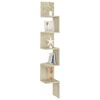 Miniatuurafbeelding van het product 7 van 10