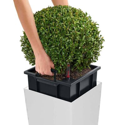 LECHUZA Plantenbak Cubico 30 ALL-IN-ONE hoogglans wit 18181