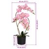 Miniatuurafbeelding van het product 5 van 5