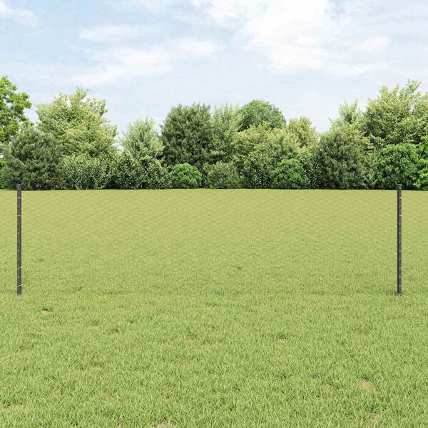 vidaXL Hek met Paal Grijs 0,6 x 10 m Staal en PVC