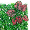 Miniatuurafbeelding van het product 7 van 8