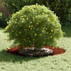 Miniatuurafbeelding van het product 3 van 11
