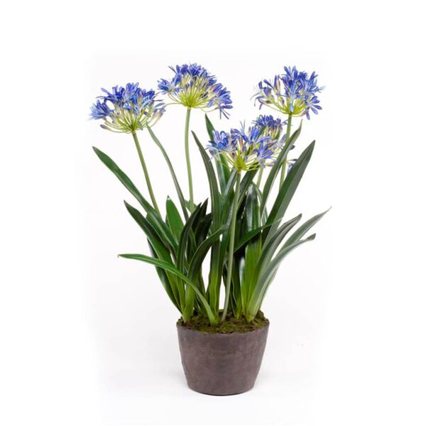 Emerald Kunstplant Afrikaanse lelie 75 cm blauw