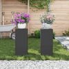 vidaXL Plantenstandaard 2 pcs Zwart 24 x 24 x 55 cm Staal