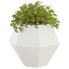 Miniatuurafbeelding van het product 3 van 10