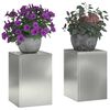 vidaXL Plantenstandaard 2 pcs Zilver 24 x 24 x 35 cm