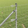 Miniatuurafbeelding van het product 4 van 16