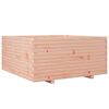 vidaXL Plantenbak 100x100x49,5 cm massief douglashout
