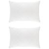 vidaXL Hoofdkussen FULDA 2 pcs 50 x 75 cm 100% Ganzendons en Veer Wit