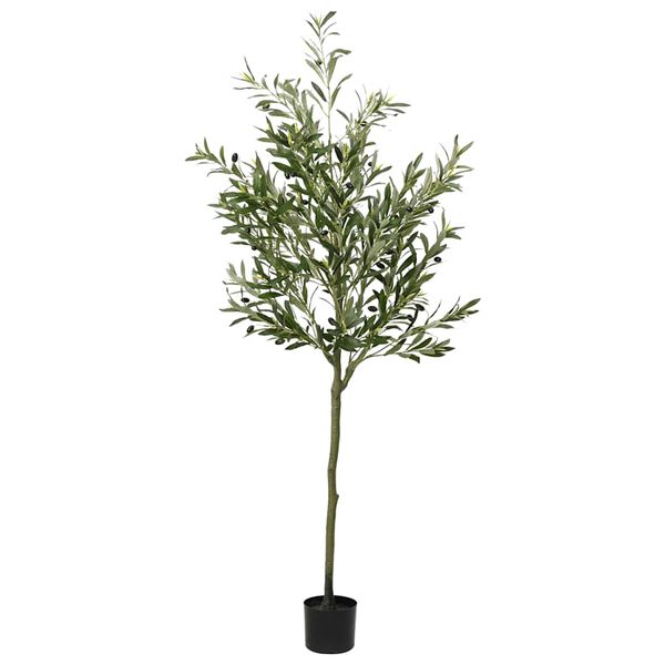Productafbeelding 1 van 5