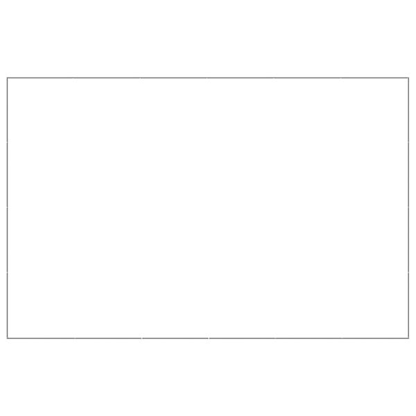 vidaXL Hondenkennel 24 m&sup2; staal zilverkleurig