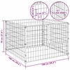 vidaXL Hondenkennel 100x100x70 cm staal zwart