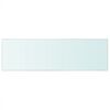 vidaXL Wandschap transparant 80x25 cm glas