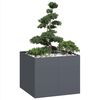 Miniatuurafbeelding van het product 2 van 9