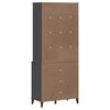 vidaXL Hoge kast VIKEN 80x40x190 cm massief grenenhout antracietgrijs