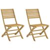 vidaXL Opklapbare stoelen, 2 stuks, 48,5 x 61,5 x 87 cm, massief acaciahout.