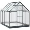 vidaXL Tuin Serre 183,5 x 243,5 x 207 cm