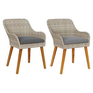 vidaXL Tuinstoel 2 st Lichtgrijs poly rattan