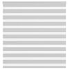 vidaXL Zebra rolgordijn 150x150 cm stofbreedte 145,9 cm lichtgrijs