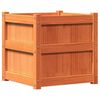 vidaXL Plantenbak 50x50x50 cm massief grenenhout wasbruin