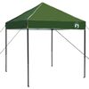 vidaXL Luifeltent Groen 194 x 194 x 251 cm Stof