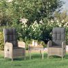 vidaXL Tuinstoelen 2 st poly rattan grijs