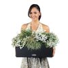 LECHUZA Plantenbak BALCONERA Cottage 50 ALL-IN-ONE granietkleurig