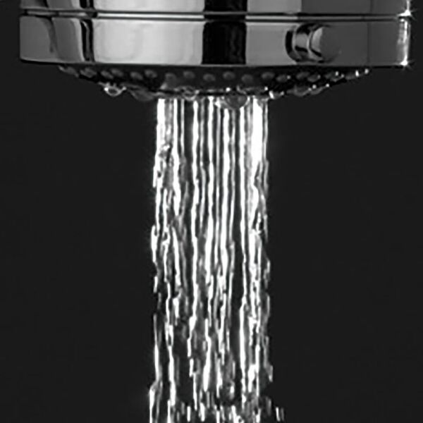 Tiger Douchekop Tossa chroomkleurig