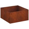 vidaXL Plantenbak Roestkleurig 100 x 100 x 40 cm weervast staal