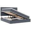 vidaXL Opbergbed met LED met matras Donkergrijs 180 x 200 cm Fluweel