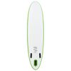 vidaXL Stand Up Paddleboardset opblaasbaar groen en wit