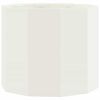 vidaXL Plantenbak Wit 60 x 60 x 50 cm Staal