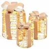 vidaXL Cadeau Doos Decoratie 3 st 60 LED's Warmwit 20 x 20 x 20 cm PET