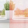 Miniatuurafbeelding van het product 3 van 8
