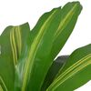 vidaXL Kunst dracena plant met pot 90 cm groen