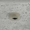 Miniatuurafbeelding van het product 9 van 13