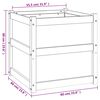 vidaXL Plantenbak 60x60x60 cm massief grenenhout