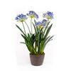 Emerald Kunstplant Afrikaanse lelie 75 cm blauw