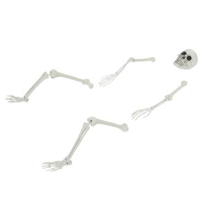 vidaXL Halloween Skelet met Gronds Spikes Wit 45,5 x 13 cm