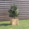 vidaXL Plantenbakken 2 st 31x31x31 cm massief grenenhout