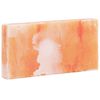 vidaXL Zoutstenen 10 pcs Roze 20 x 2,5 x 10 cm Steenzout
