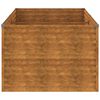 vidaXL Plantenbak verhoogd 196x100x69 cm cortenstaal