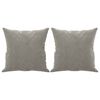 vidaXL Sierkussens 2 st 40x40 cm fluweel lichtgrijs