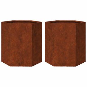 vidaXL Plantenbakken 2 st zeshoek 46x40x45 cm weervast staal