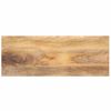 vidaXL Tafelblad rechthoekig 90x20x3,8 cm massief mangohout