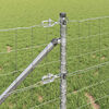 Miniatuurafbeelding van het product 4 van 16